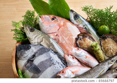 什錦鮮魚 85688797