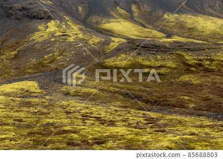 Volcanic landscape in Iceland. Lava flows with green moss 85688803