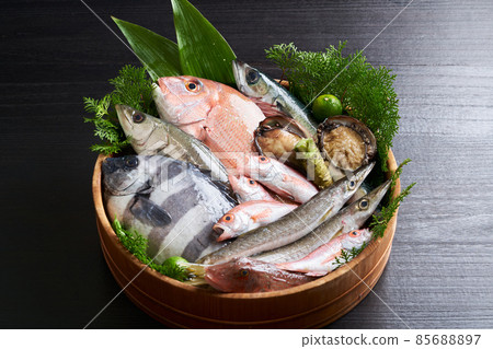 什錦鮮魚 什錦鮮魚 85688897