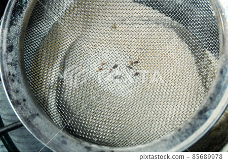 Flour beetles, parasites in wholemeal flour through a metal sieve Flour beetles, parasites in wholemeal flour through a metal sieve 85689978