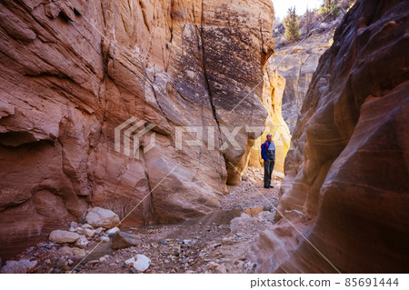 Slot canyon 85691444