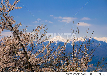 Beautiful spring 85691932