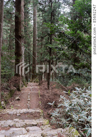 歷史方法 85692247