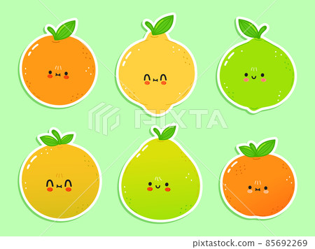 Cute happy citrus icons set. Vector hand drawn trendy cartoon character illustration. Set of citrus for a postcard, concept of set of labels Cute happy citrus icons set. Vector hand drawn trendy cartoon character illustration. Set of citrus for a postcard, concept of set of labels 85692269