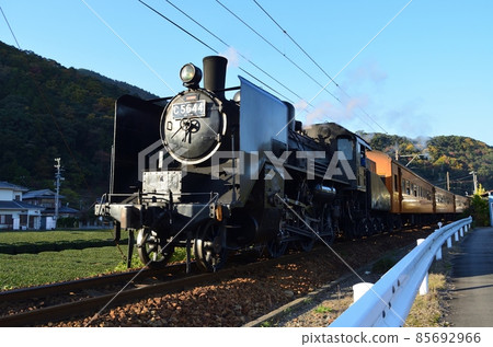 大井川鐵道 SL (C56) 141123pm 2:56-2 大井川鐵道 SL (C56) 141123pm 2:56-2 85692966