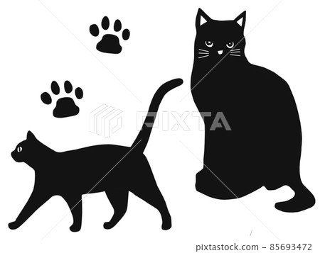 Cat black cat Cat black cat 85693472