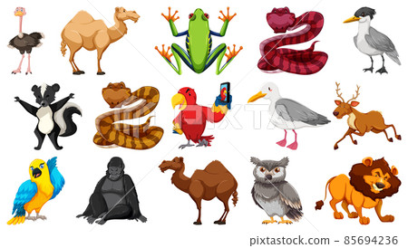 Set of different wild animals cartoon characters Set of different wild animals cartoon characters 85694236