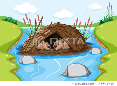 Forest scene with beavers live in dam Forest scene with beavers live in dam 85694240
