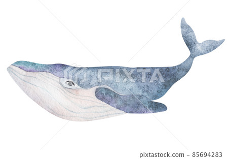 Watercolor cute purple whales on the white background. Sea Animal Hand draw art illustration. Graphic for fabric, t-shirt, postcard, greeting card, book, kids poster, sticker. 85694283