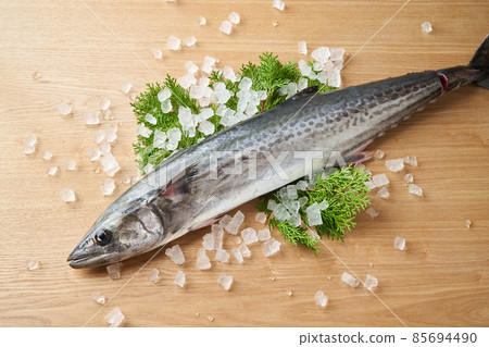 馬鮫魚 馬鮫魚 85694490