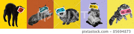 Contemporary art collage with bw portraits of cats with male eyes isolated over colored background. Animals with human emotions Contemporary art collage with bw portraits of cats with male eyes isolated over colored background. Animals with human emotions 85694873