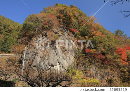 Kochi Prefecture Autumn leaves and blue sky Kochi Prefecture Autumn leaves and blue sky 85695219