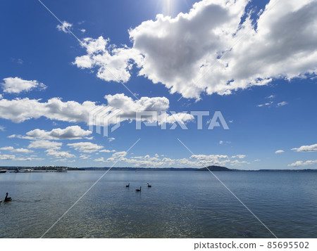 New Zealand Rotorua / Lake Rotorua, New Zealand 85695502