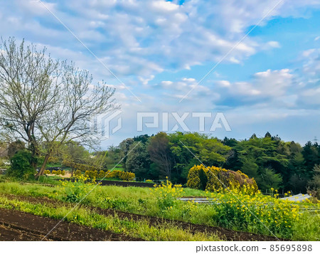 春天的田野 85695898