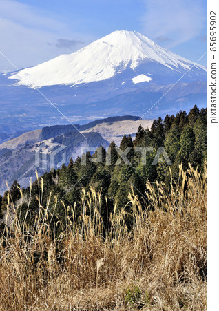 從丹澤山脈的高松山頂看到的雪妝富士山 從丹澤山脈的高松山頂看到的雪妝富士山 85695902