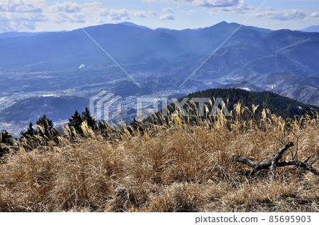從丹澤山脈的高松山山頂看到的明神山、駒嶽山、神山山、足柄山 從丹澤山脈的高松山山頂看到的明神山、駒嶽山、神山山、足柄山 85695903
