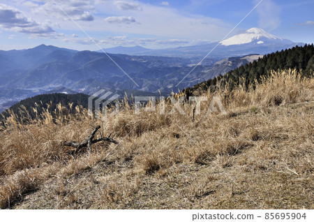 從丹澤山脈的高松山山頂看到的富士山和足柄山 從丹澤山脈的高松山山頂看到的富士山和足柄山 85695904