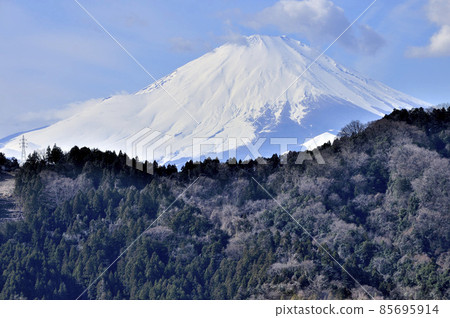 丹澤山脈的高松山 高松山徒步路線 從休息區眺望富士山 85695914