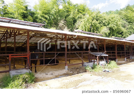 Countryside cow hut Iida City, Nagano Prefecture Countryside cow hut Iida City, Nagano Prefecture 85696067