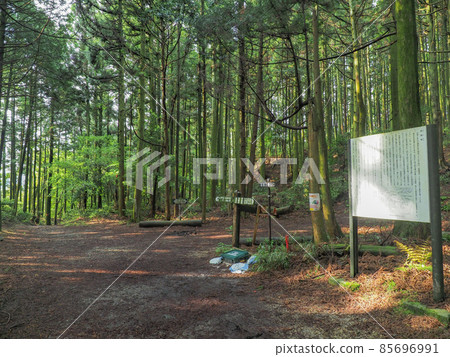 Mie Prefecture Suzuka Pass 85696991