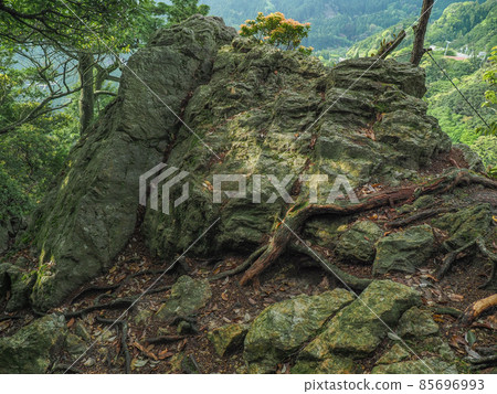 Mie Prefecture Suzuka Pass (Sakashita-juku side) 85696993
