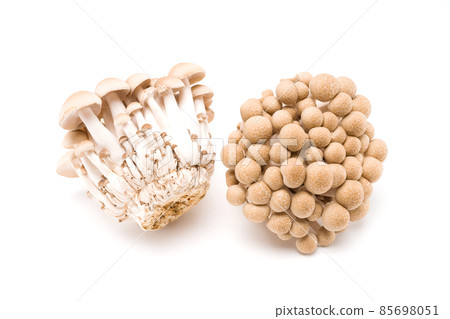 Brown shimeji mushroom isolated on white background. Japanese food 85698051
