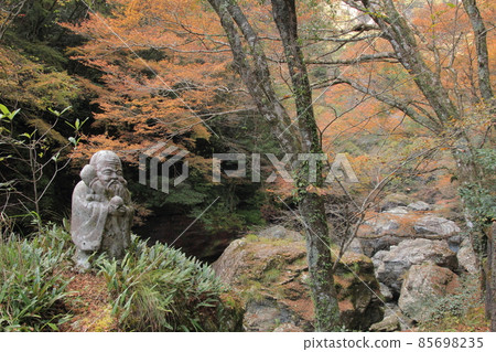 Kochi Prefecture Autumn Nakatsu Gorge Seven Lucky Gods Fukurokuju 85698235