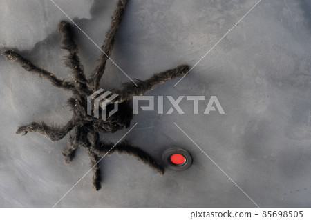big toy spider Halloween background 85698505
