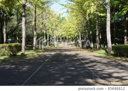 Autumn road Autumn road 85698812
