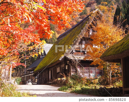 Hirayu Onsen in autumn colors 85698828