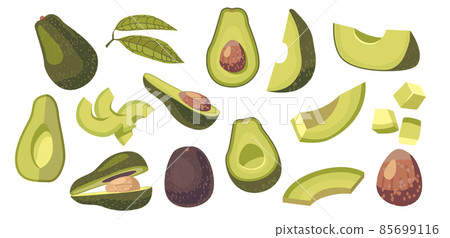 Set of Avocado Vegetarian Food Ingredient Design Elements. Fresh Fruit or Vegetable Whole, Diced or Sliced Pieces 85699116