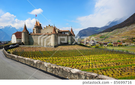 Panoramic view of the Aigle castle and vineyards in swiss Alps mountains, Switzerland Panoramic view of the Aigle castle and vineyards in swiss Alps mountains, Switzerland 85699716