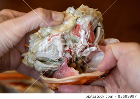 Peeling to eat snow crab 85699997