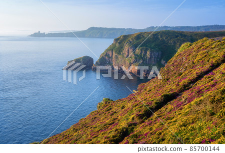 Fort La Latte and Cap Frehel, Brittany, France Fort La Latte and Cap Frehel, Brittany, France 85700144