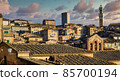 View over the roofs of the Siena Old town, Italy 85700194