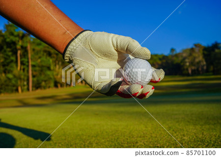 Hand hold golf ball with tee on course, golf course background Hand hold golf ball with tee on course, golf course background 85701100