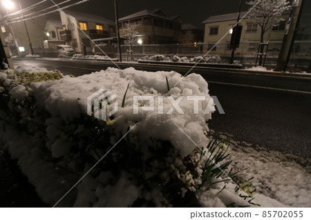 Adachi-ku, Tokyo, where heavy snow fell in January 2022 Adachi-ku, Tokyo, where heavy snow fell in January 2022 85702055