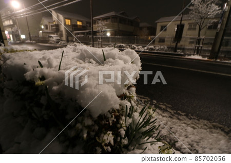 Adachi-ku, Tokyo, where heavy snow fell in January 2022 85702056