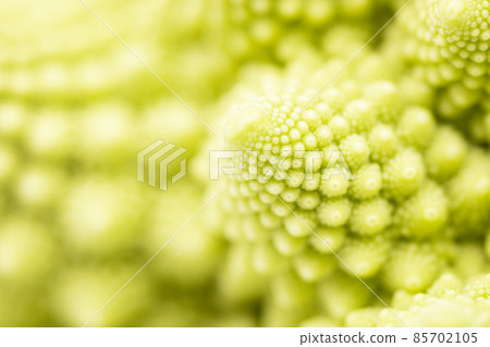 Romanesco 微距拍攝花簇 Romanesco 微距拍攝花簇 85702105