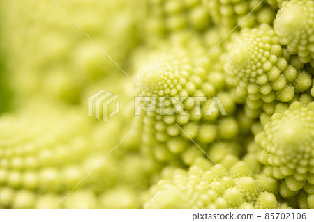 Romanesco 微距拍攝花簇 Romanesco 微距拍攝花簇 85702106
