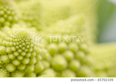 Romanesco macro-photographed flower cluster Romanesco macro-photographed flower cluster 85702109