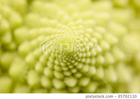 Romanesco macro-photographed flower cluster Romanesco macro-photographed flower cluster 85702110