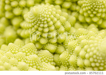 Romanesco macro-photographed flower cluster Romanesco macro-photographed flower cluster 85702111
