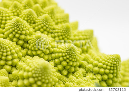 Romanesco macro-photographed flower cluster Romanesco macro-photographed flower cluster 85702113