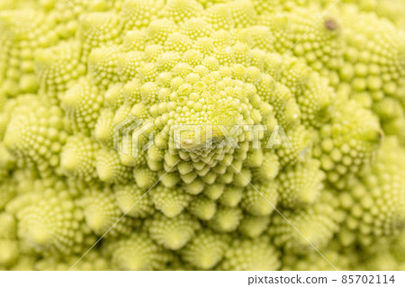 Romanesco macro-photographed flower cluster Romanesco macro-photographed flower cluster 85702114