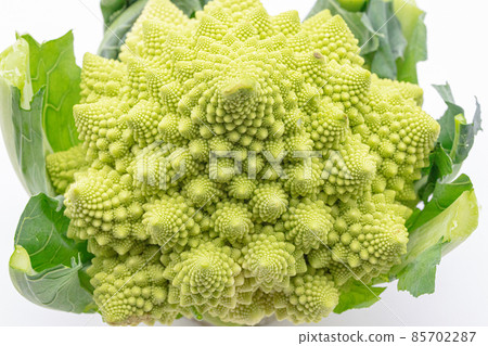 切割前的 Romanesco 孔條件 切割前的 Romanesco 孔條件 85702287