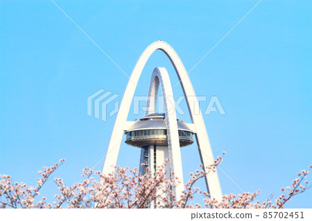 Ichinomiya City, Twin Arch 138 and cherry blossoms in full bloom 85702451