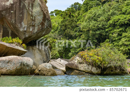 Forest meeting with rocks and the sea in Trindade Forest meeting with rocks and the sea in Trindade 85702671