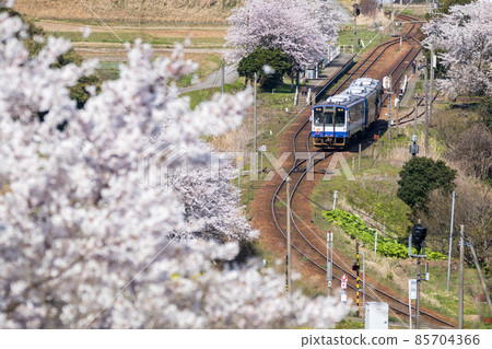 [能登鐵路]盛開櫻花的西岸站鳥瞰圖 85704366