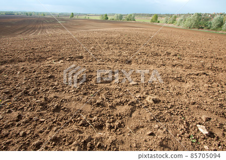 Agriculture Agriculture 85705094